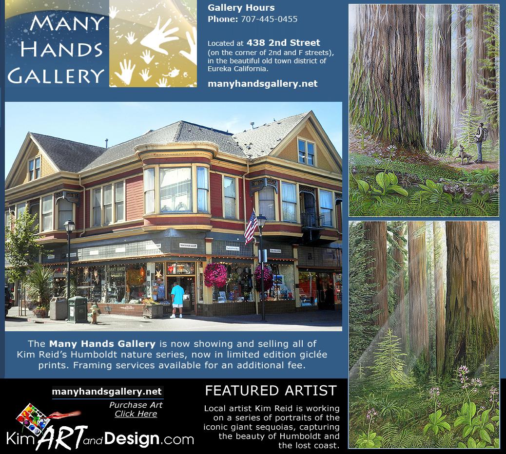 Many-Hands-Gallery-Artist-of-Month