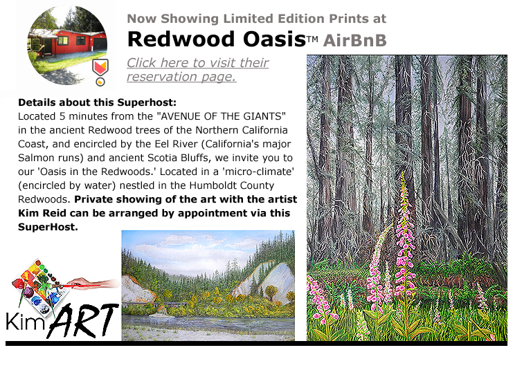 RedwoodOasis-BnB (500K)