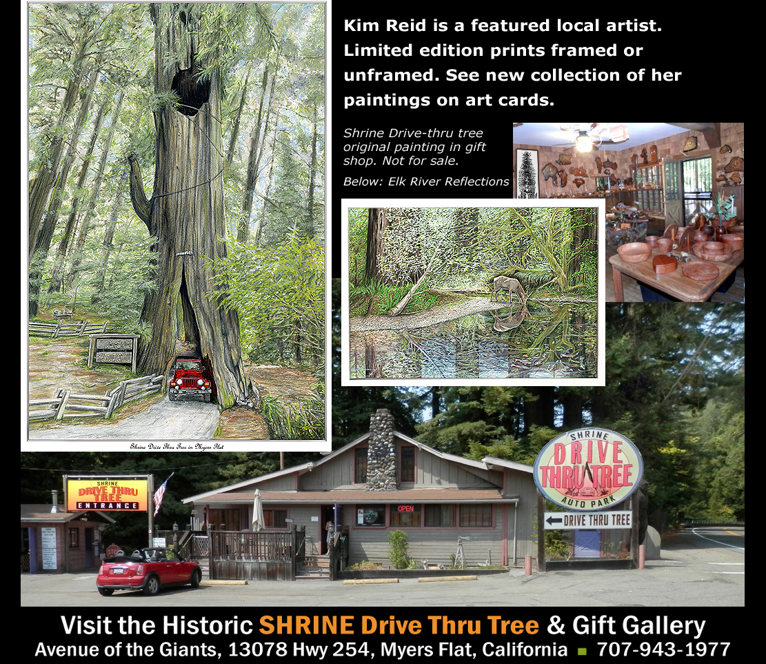Current Gallery Location - Shrine Drive Thru Tree