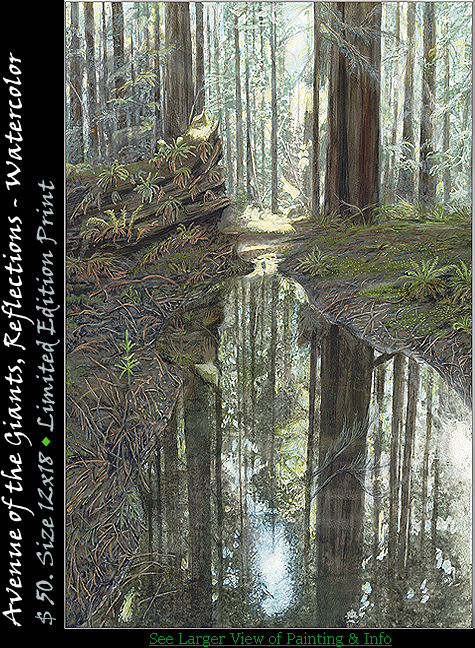 Avenue of the Giants - Reflections