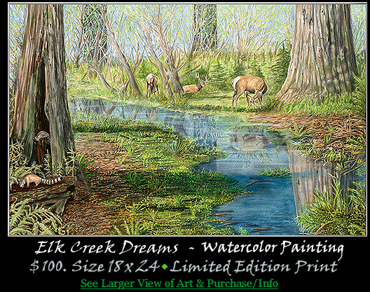 Elk Creek Dreams