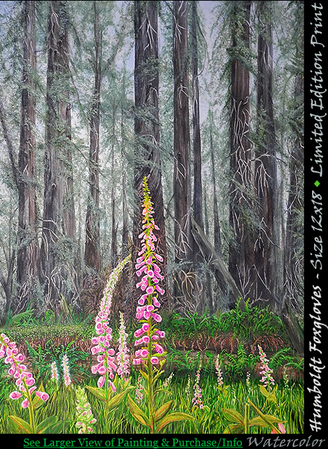Humboldt Foxgloves
