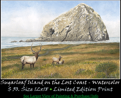Sugarloaf Island on Lost Coast